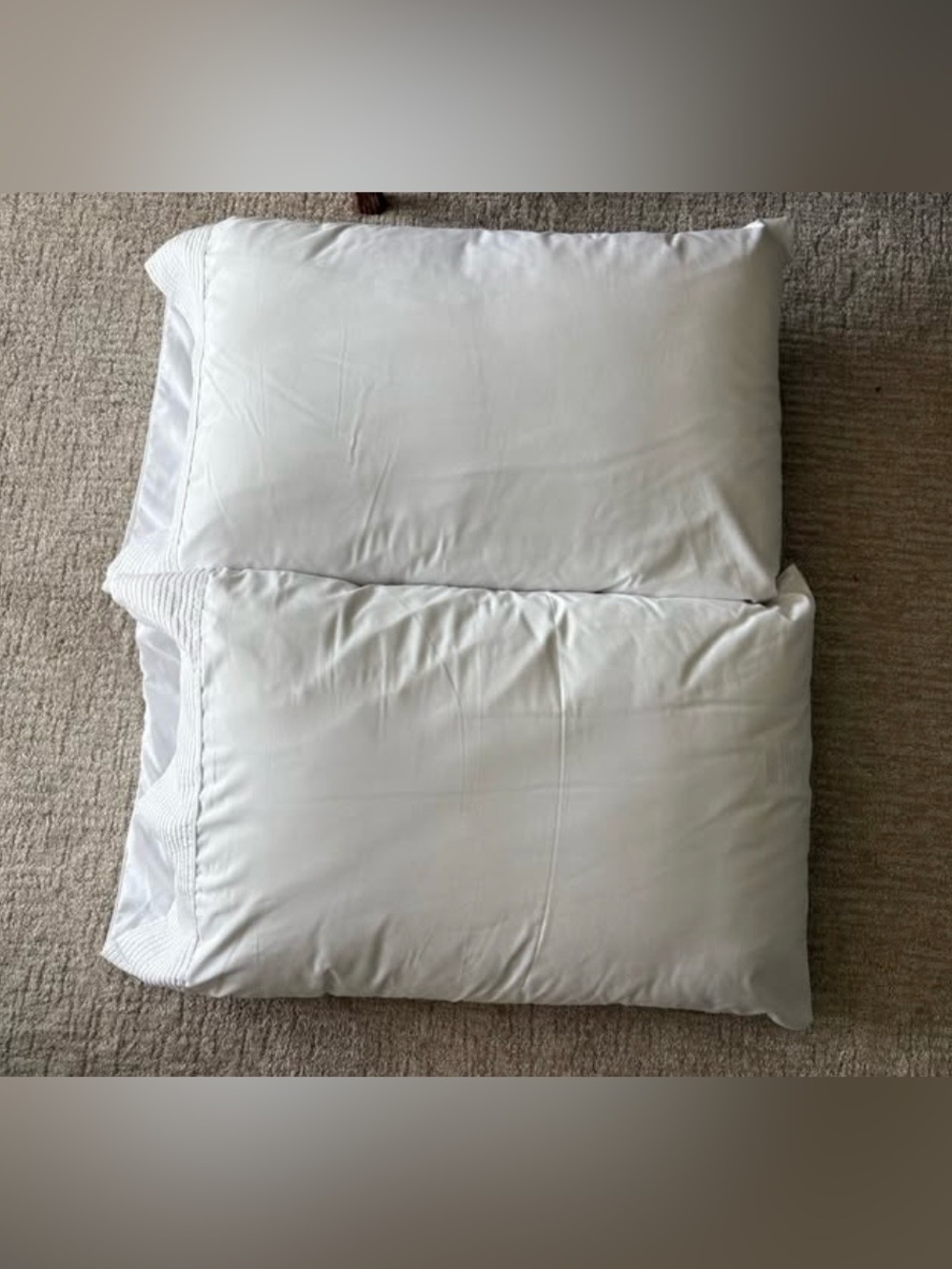 2 PILLOWS AND 2 WHITE PILLOWCASES